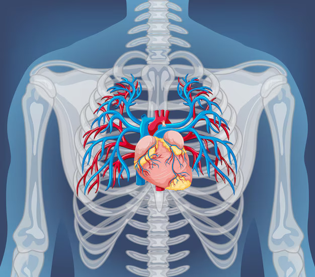 Aortic Aneurysm in Females: Understanding Symptoms, Causes, and Prevention